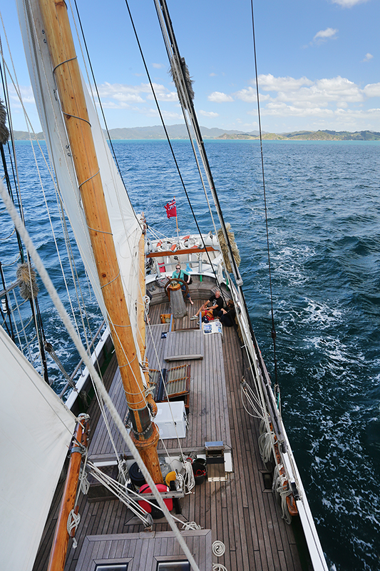 Sail on the R Tucker Thompson, Bay of Islands, NZ